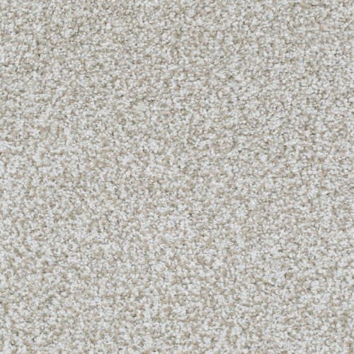 beige and white carpet